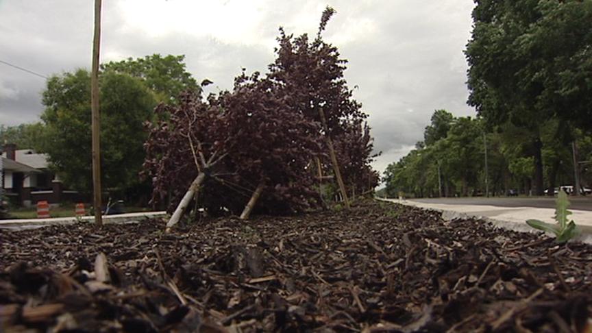 Destructive Detour Lands Man In Jail