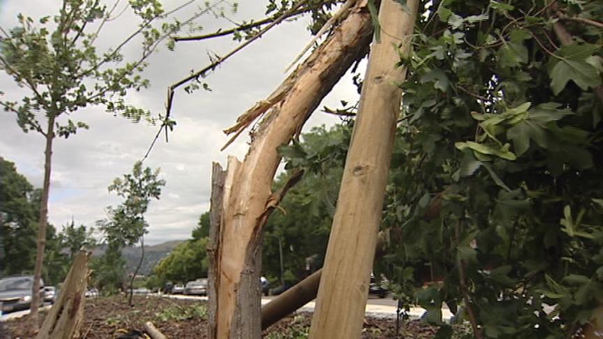 Destructive Detour Lands Man In Jail