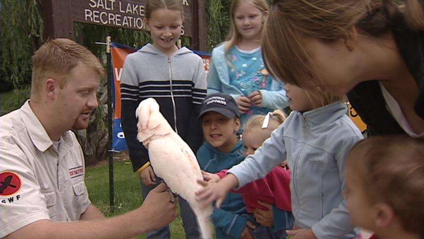 Outdoor Festival Helps Build Sense of Community