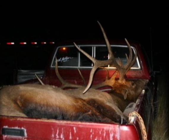 Poaching Continues to be a Problem in Utah