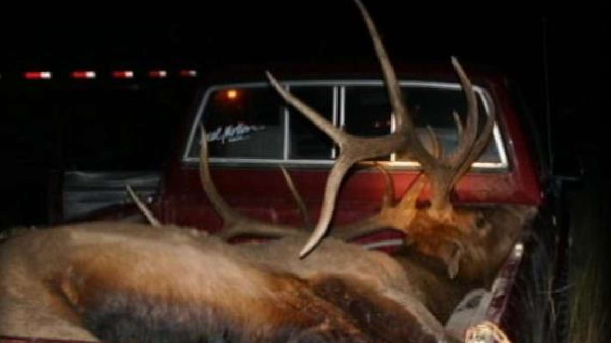 Poaching Continues to be a Problem in Utah