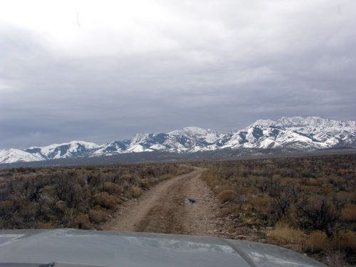 Dozens of dead animals discovered in Tooele mountains