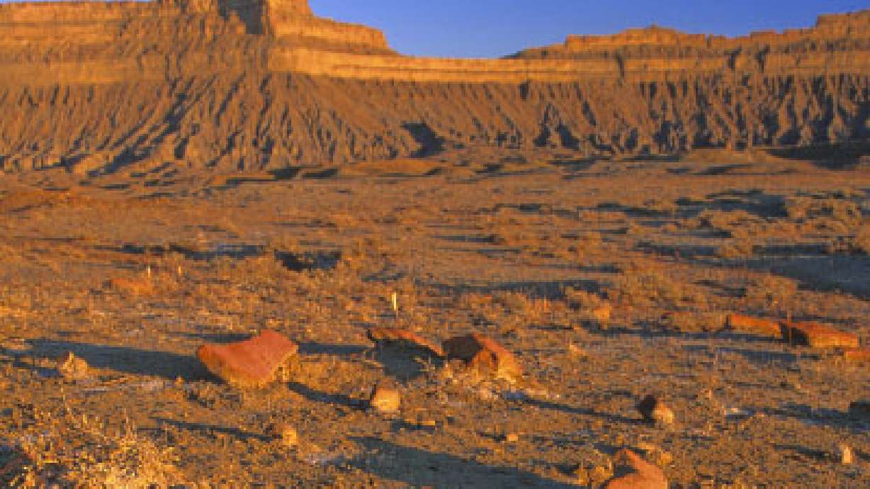 FBI: DNA points to identity of Book Cliffs remains