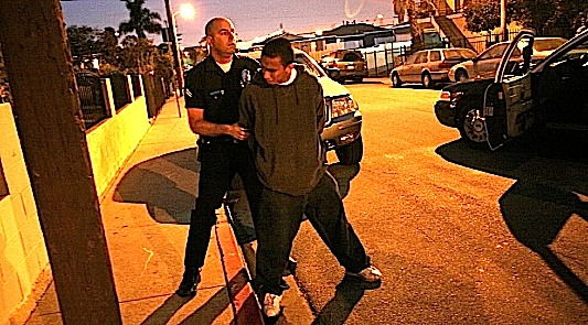 A Gang Database
