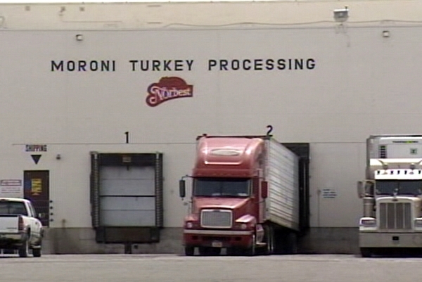 Moroni Turkey Processing Plant reopens its doors