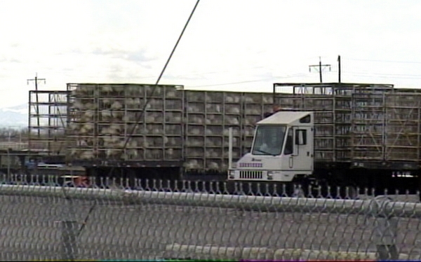 Moroni Turkey Processing Plant reopens its doors