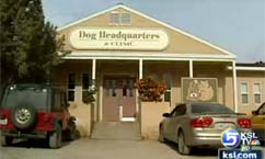 Animal society founder dies in car accident