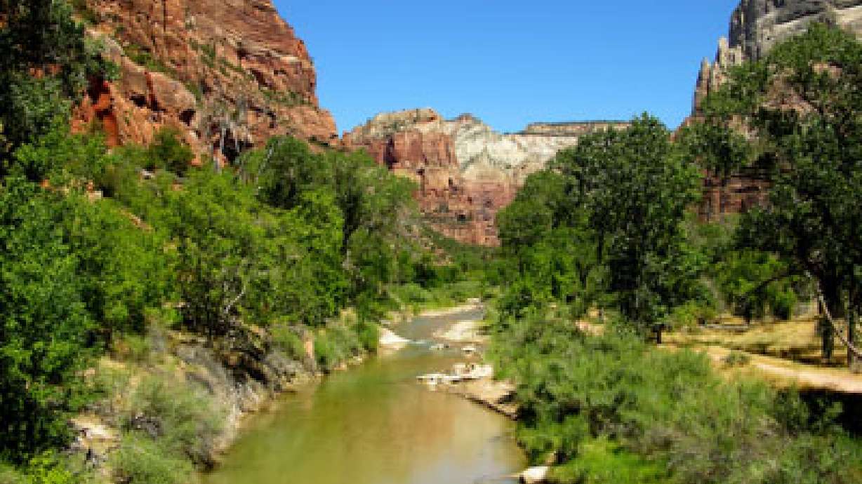 Crews release 3,400 rare fish in southern Utah