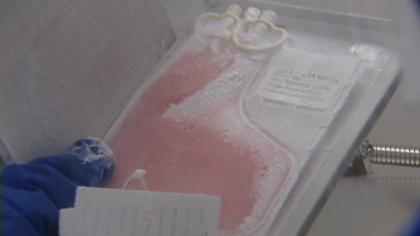 Researchers in Utah to Focus on Healing Power of Stem Cells