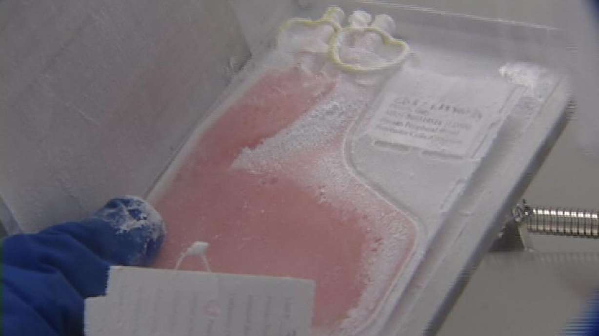 Researchers in Utah to Focus on Healing Power of Stem Cells