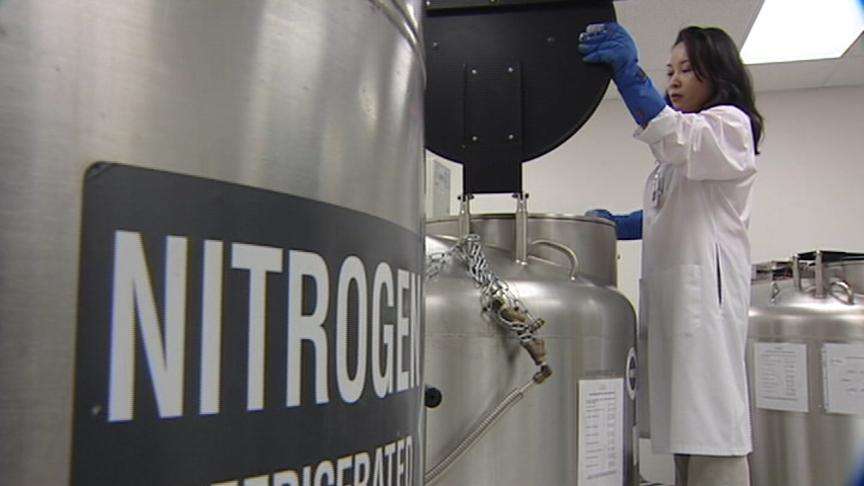 Researchers in Utah to Focus on Healing Power of Stem Cells