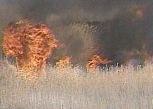 Controlled Burns Continue at Great Salt Lake