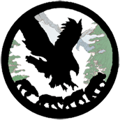 Bald eagle recovering at shelter