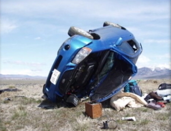 Neo's owner, 47-year-old Joyce Moore, was killed in a rollover accident. Neo stayed with her body until paramedics arrived, then ran off.