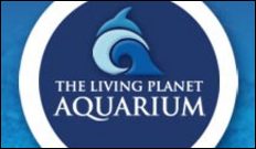 Former Employee of the Living Planet Aquarium Facing Felony Charges
