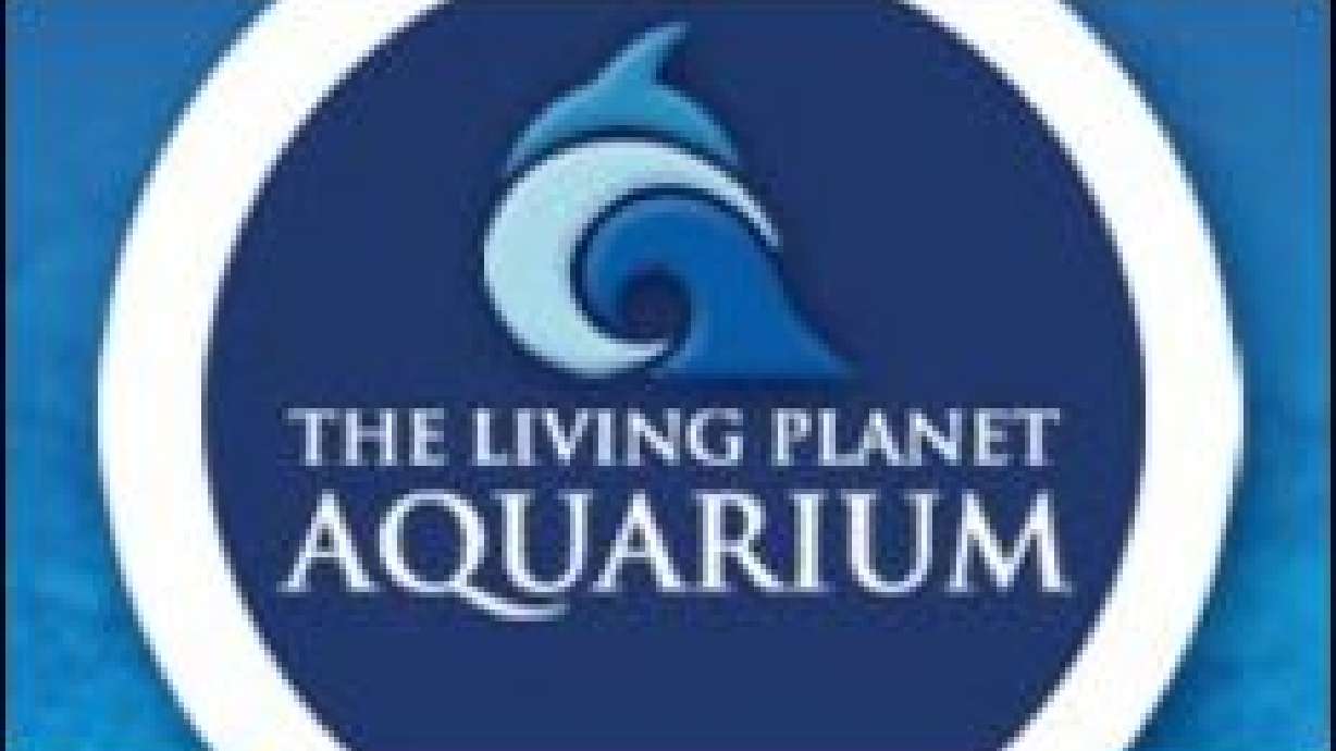 Former Employee of the Living Planet Aquarium Facing Felony Charges
