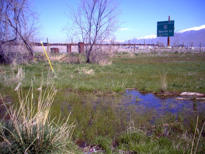 City manager concerned about water on Legacy Parkway