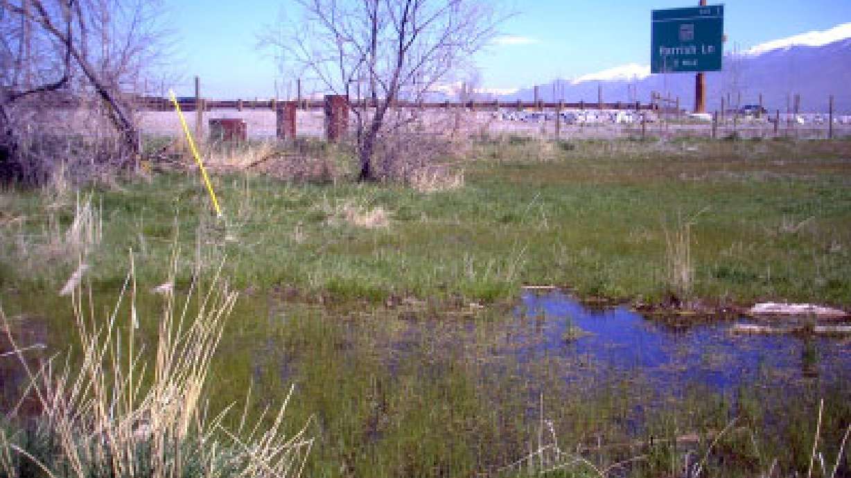 Utah contractor alleges Legacy bridges are unsafe