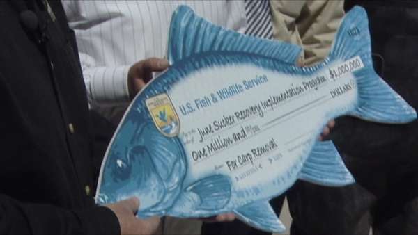 Program to knock down carp population gets financial boost