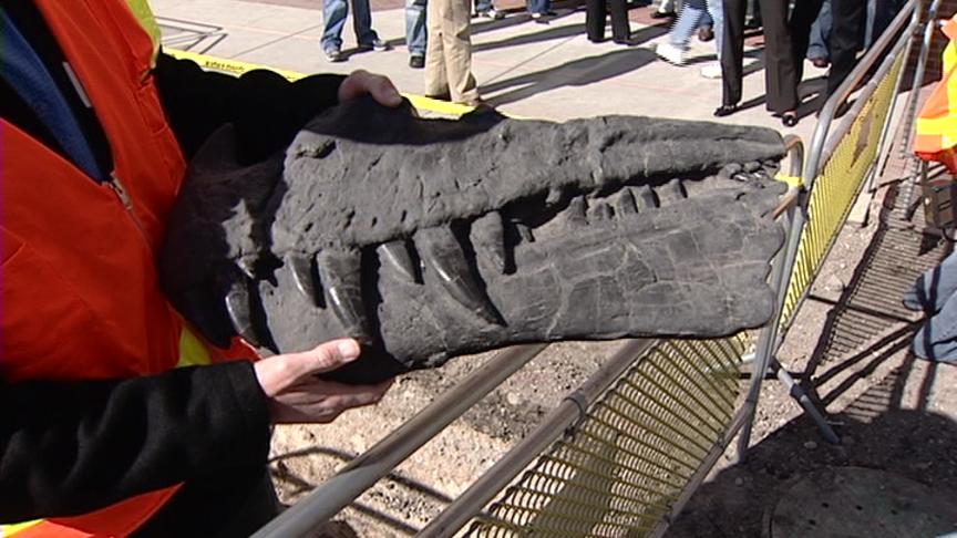 Dinosaur Bone Halts Trax Construction Near Gateway