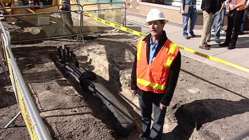 Dinosaur Bone Halts Trax Construction Near Gateway