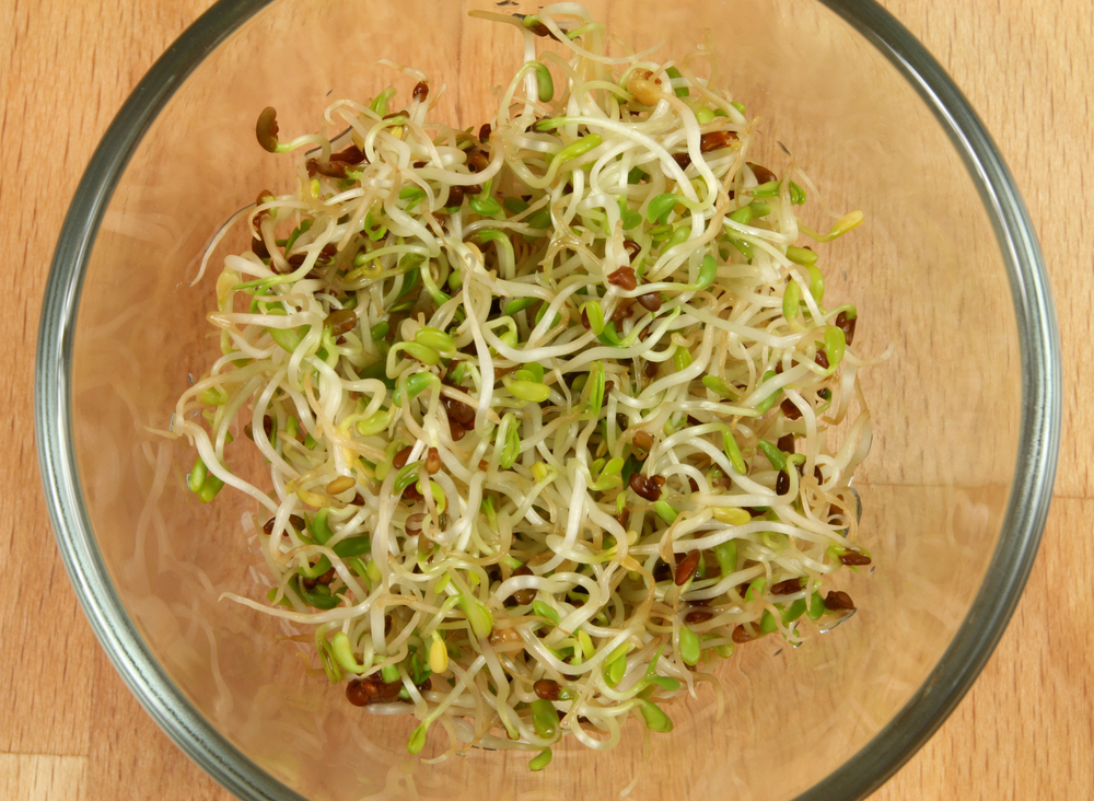 Alfalfa sprouts have salmonella risk