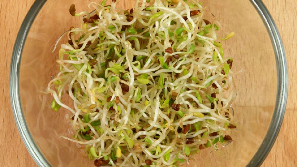Alfalfa sprouts have salmonella risk