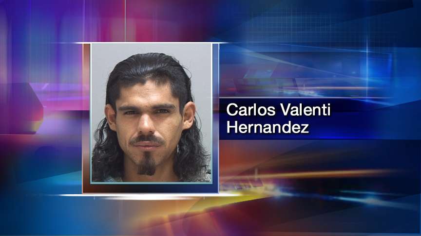 Woman who attacked trooper has criminal history