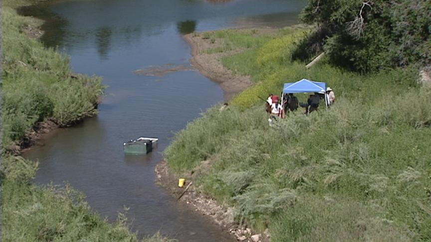 Wildlife Officials Take Trout From Mountain Dell Reservoir