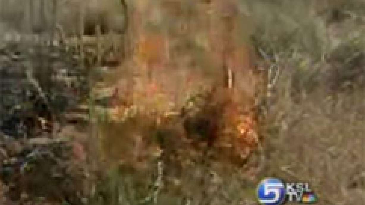 Firefighters Launch Offensive Against Cheat Grass