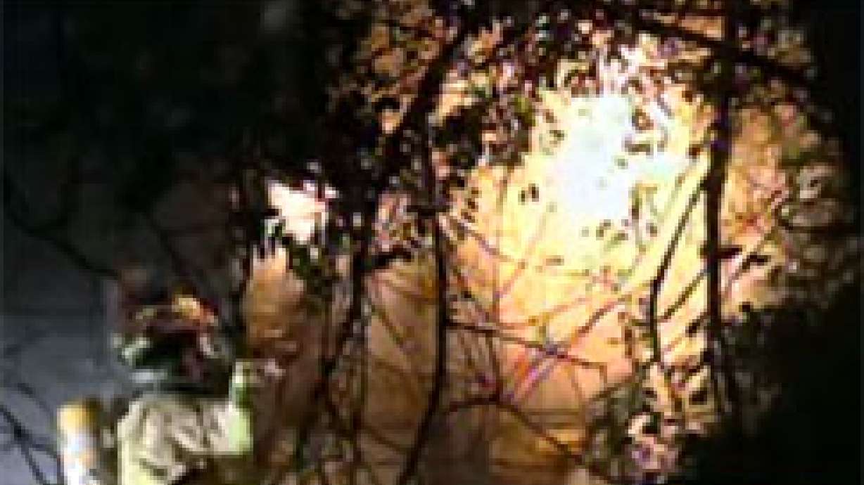 Another Abandoned Building Goes Up in Flames