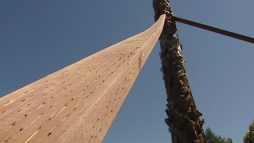 Bountiful Resident Grows Palm Trees in Front Yard