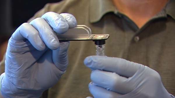 Portable device could be used to detect swine flu in minutes