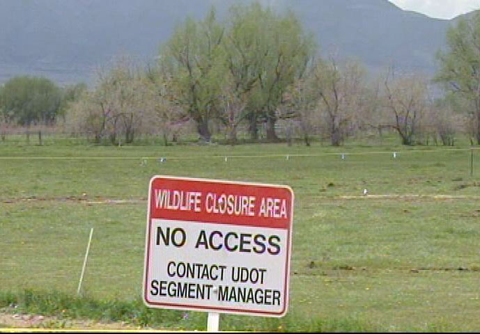 UDOT changes plans to work around nesting hawks