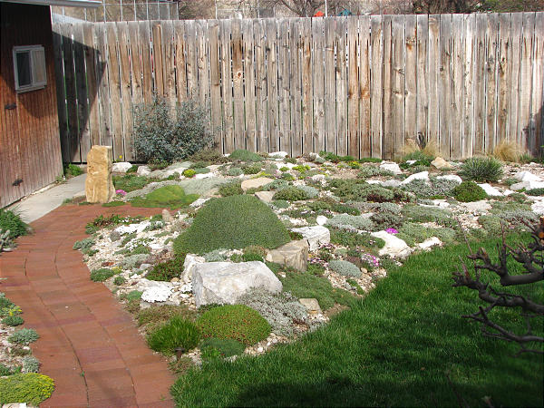 There's more to rock gardens than just rocks