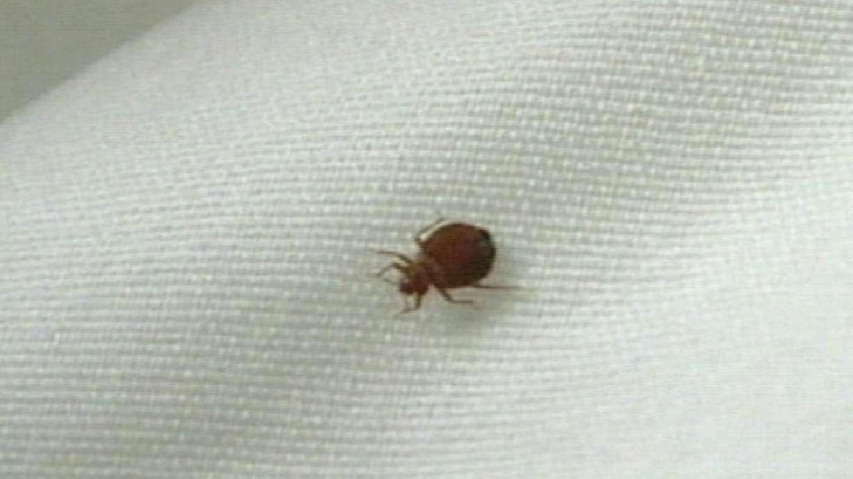 S. Utah homeless shelter combats bedbug outbreak