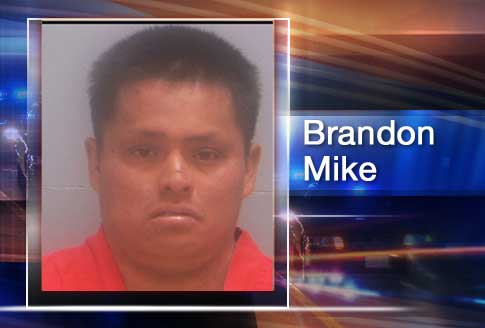 Man Accused in Connection With Stabbing of Dog