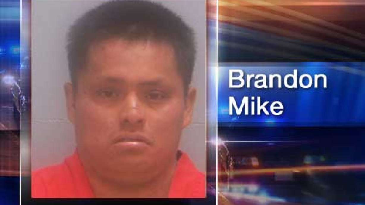 Man Accused in Connection With Stabbing of Dog