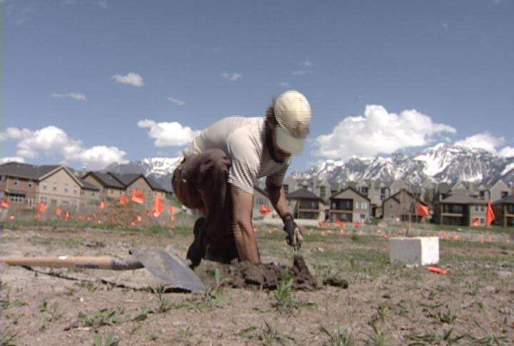 Tree Utah will plant trees along the Jordan River in South Jordan to offset the pollution visitors create during their stay in Utah.