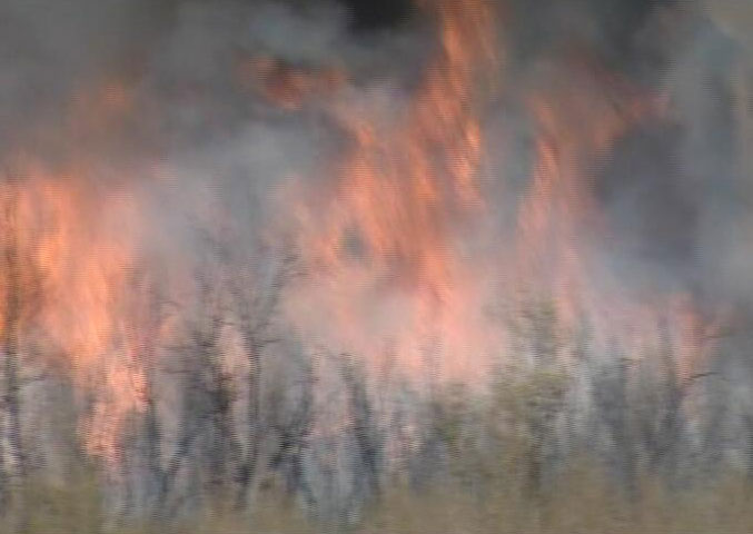 Wilderness preserve near Moab to reopen after fire
