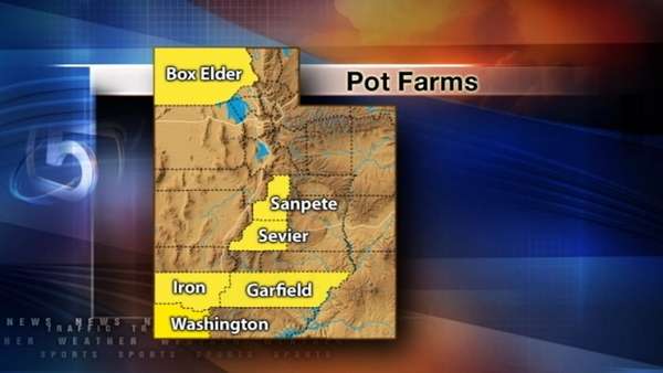 Utah wilderness becoming a hot spot for marijuana plantations