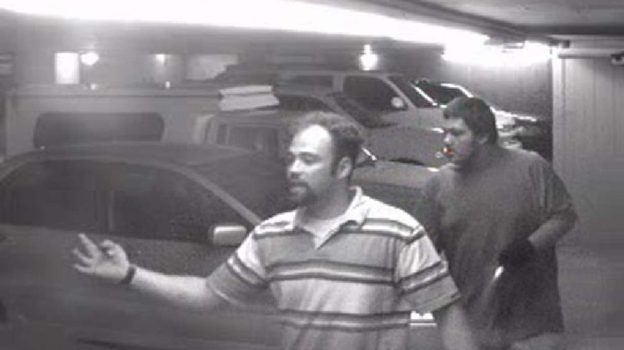 Police need help identifying car prowlers