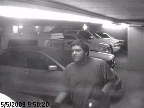 Police need help identifying car prowlers