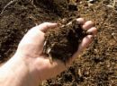 More Soil Tips For Your Spring Gardening