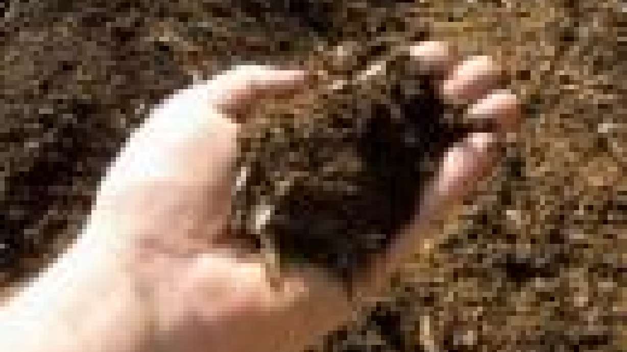 More Soil Tips For Your Spring Gardening