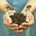 Components Of Ideal Soil