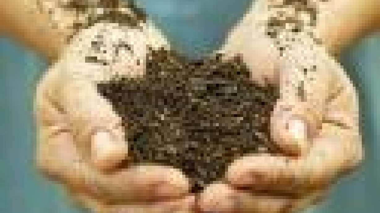 Components Of Ideal Soil