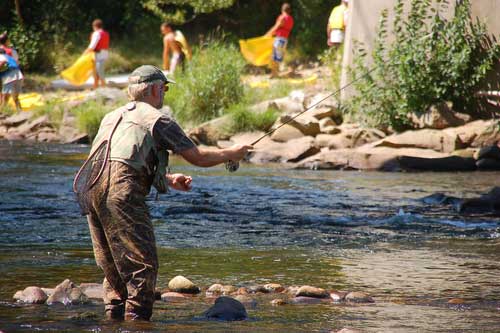 Climate change affecting trees, streams in the West