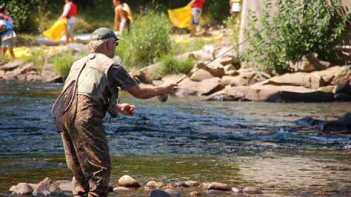 Climate change affecting trees, streams in the West