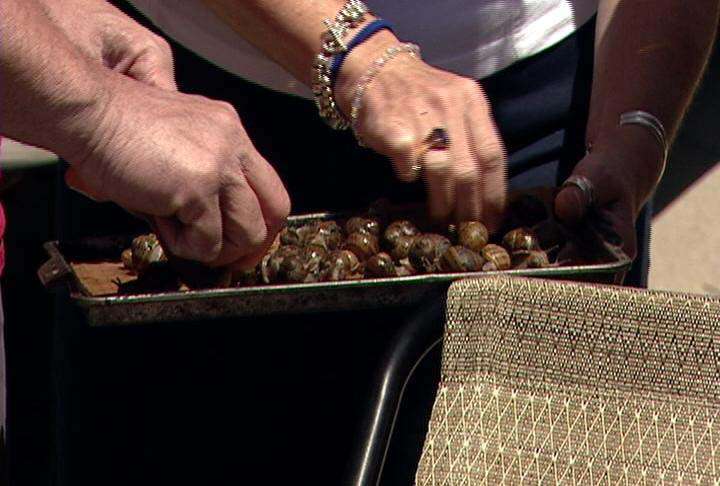 Snails on face: boy tries for world record